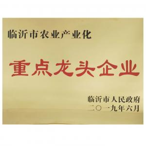 龍頭企業(yè)