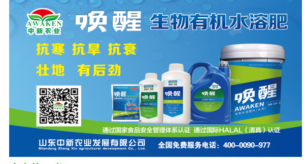 喚醒有(yǒu)機(jī)水(shuǐ)溶肥為(wèi)您的(de)小(xiǎo)麥豐收保駕護航